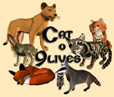 Cat-o-9Lives morphs